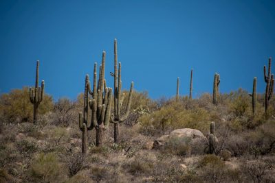 Mesa Desert