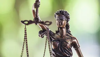 Palmer PC attorney